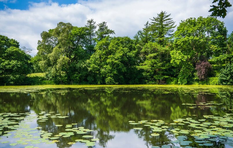 Gyvenimas prie vandens – kokybiškesnis poilsis kasdien Gyventi ar ilsėtis šalia natūralaus tvenkinio yra tikras malonumas. Vanduo ne tik puošia aplinką, bet ir teikia jai daugybę privalumų: Malonesnis klimatas. Vanduo natūraliai reguliuoja temperatūrą – vasarą šalia tvenkinio vėsiau, o žiemą – šilčiau. Gyvybės kupina aplinka. Drėgmė pritraukia paukščius, drugelius ir kitus gyvūnus, o augalai ir [&hellip;]