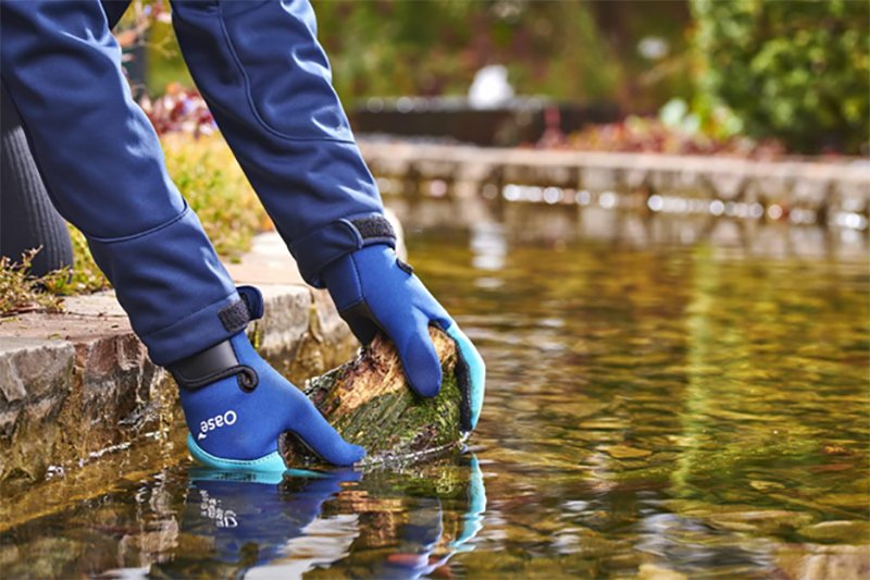 Tvenkinio valymas ir priežiūra